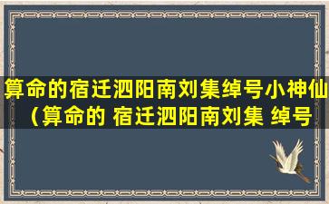 算命的宿迁泗阳南刘集绰号小神仙（算命的 宿迁泗阳南刘集 绰号小神仙）